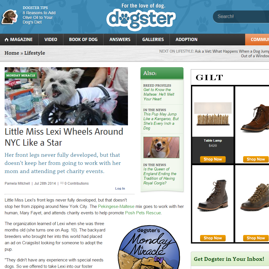 Dogster.com
